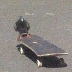 Meet your Posher, Felicia